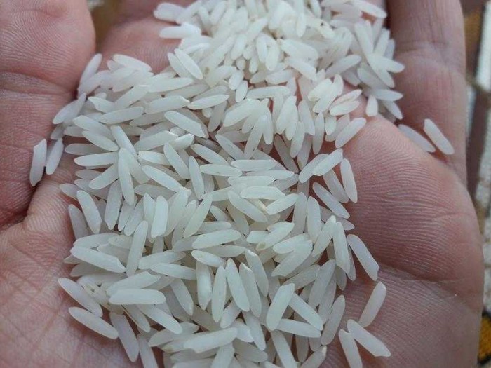  غلات | برنج ندا