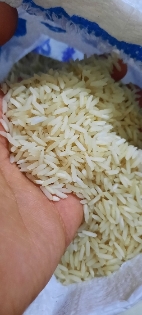 غلات | برنج طارم هاشمی درجه یک 5 ستاره شمال
