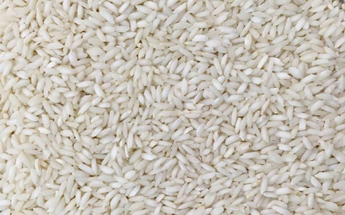  غلات | برنج برنج عنبربو امسالی