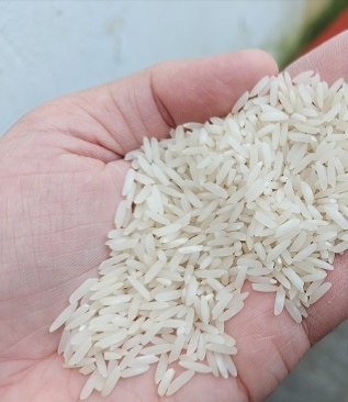  غلات | برنج طارم ندا