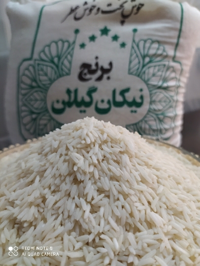  غلات | برنج هاشمی درجه یک اعلا لنگرود