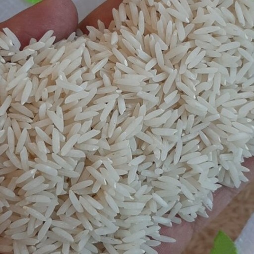  غلات | برنج شیرودی درجه یک