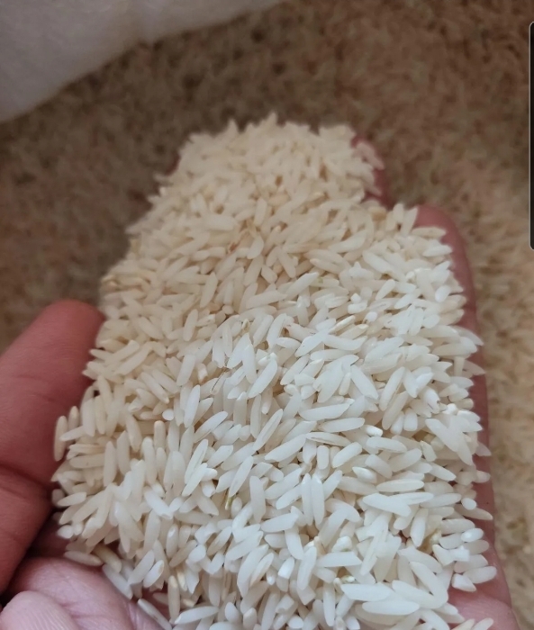  غلات | برنج برنج شیرودی اعلا