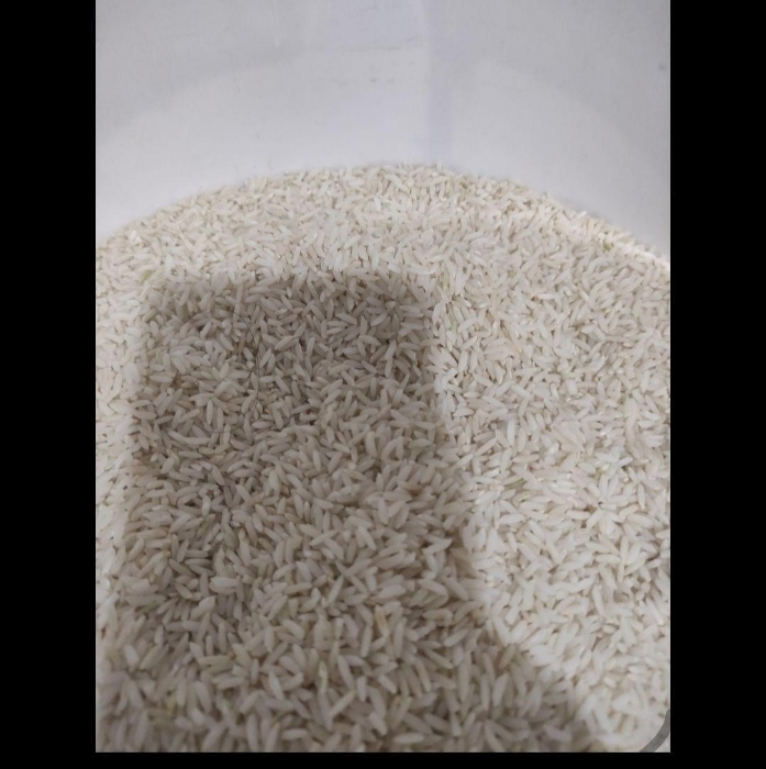  غلات | برنج برنج محلی هاشمی
