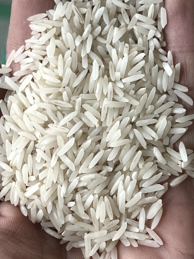 غلات | برنج برنج حوشپخت ندا