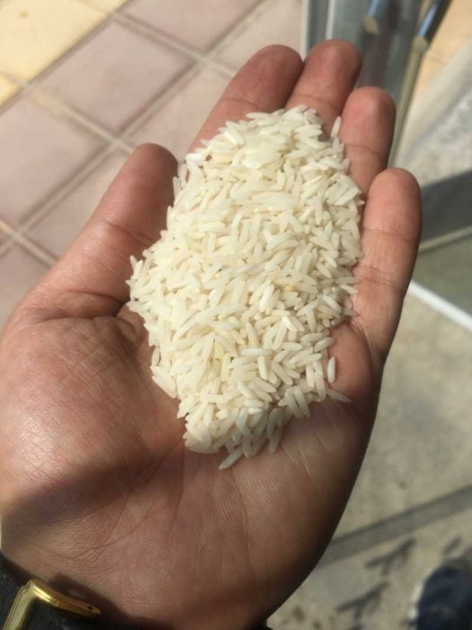  غلات | برنج سرلاشه فجر عطری