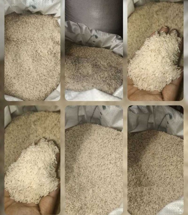  غلات | برنج دم سیا