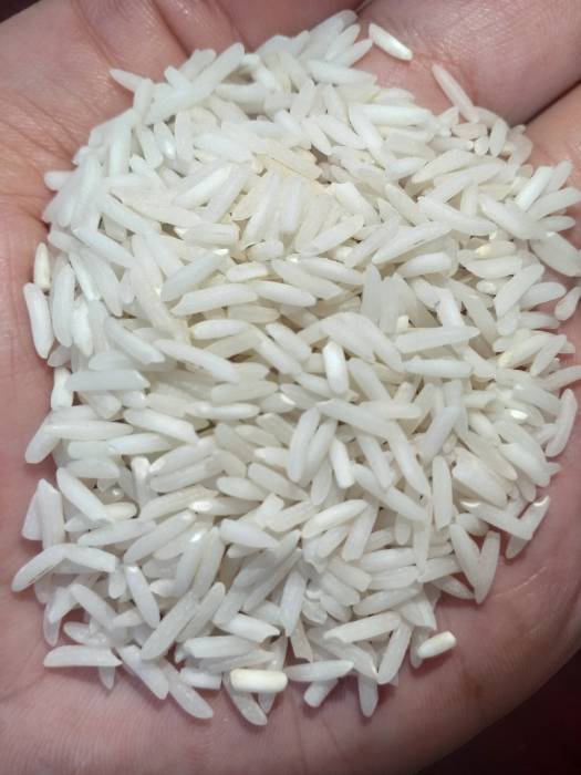  غلات | برنج برنج طارم و شیرودی