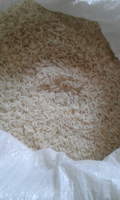  غلات | برنج هاشمی و طارم آستانه اشرفیه
