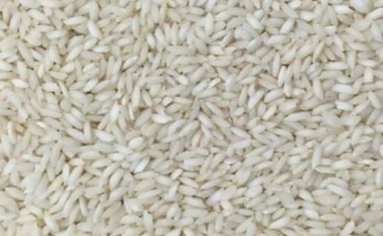  غلات | برنج عنبربو یاقوت