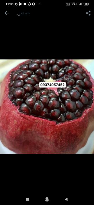  میوه | انار انار دانه مشکی اصل اصل صادراتی