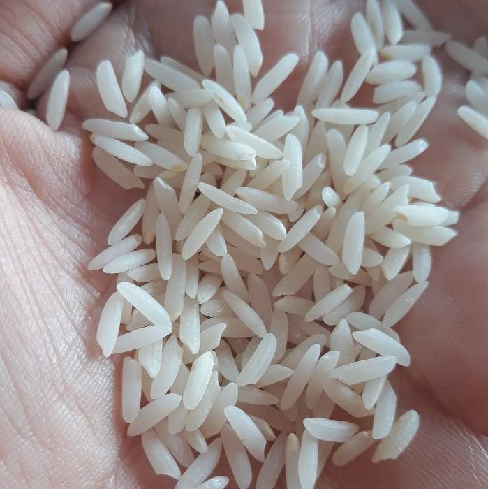  غلات | برنج برنج طارم هاشمی زرین کشت