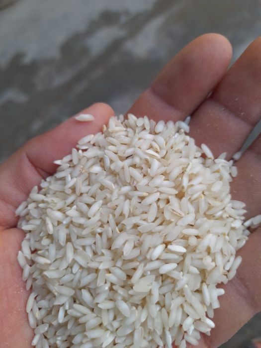  غلات | برنج عنبربو خوزستان