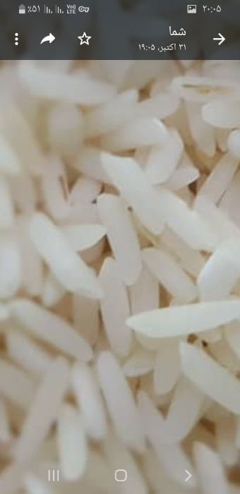 غلات | برنج برنج محلی دم سیاه