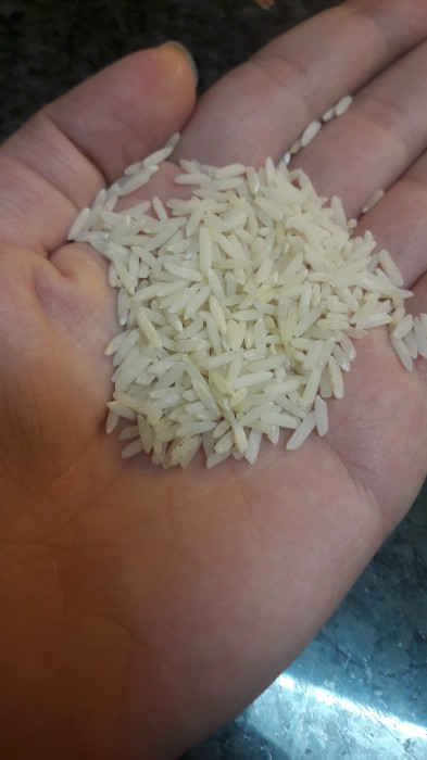  غلات | برنج فجر طارم عنبر بو