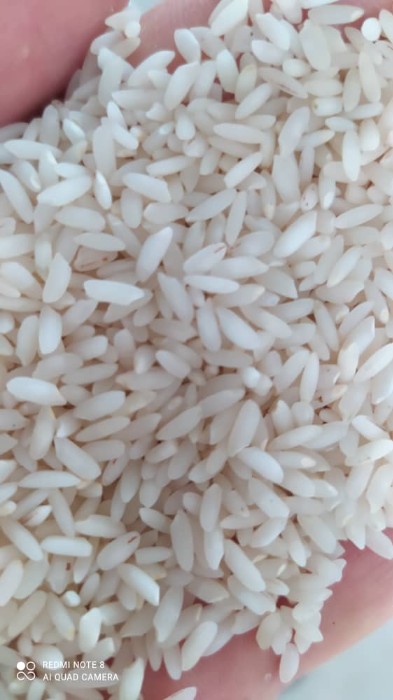  غلات | برنج عنبر معطر و چمپا