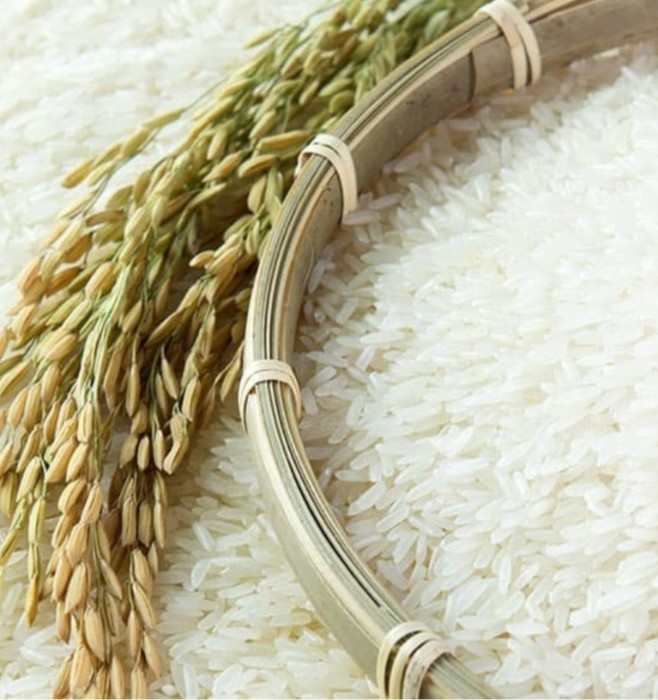  غلات | برنج هاشمی درجه یک گیلان و نیم دانه سورت شده هاشمی و انواع محصولات برنج ایرانی