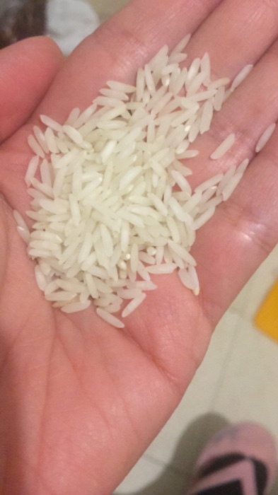  غلات | برنج طارم هاشمی درجه یک کشت دو