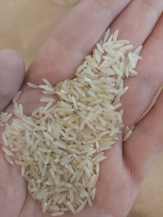  غلات | برنج طارم هاشمی و  برنج فجر