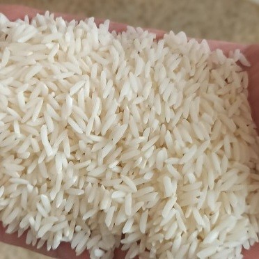 غلات | برنج برنج هاشمی سورت شده