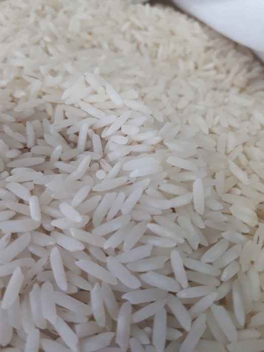  غلات | برنج برنج محلی ایرانی