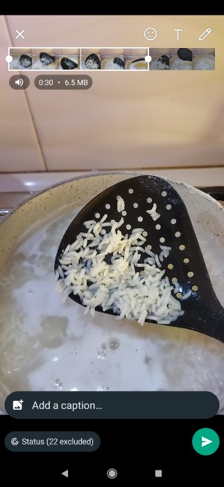  غلات | برنج برنج هاشمی فوق اعلا
