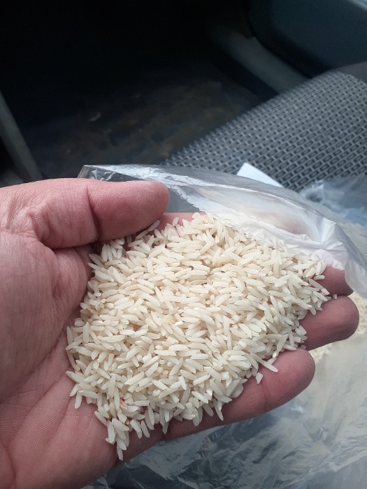  غلات | برنج هاشمی اصل