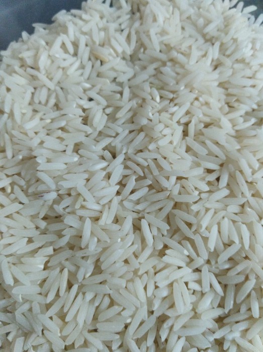  غلات | برنج طارم فجر سوزنی
