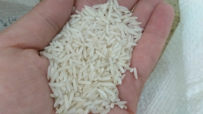  غلات | برنج دمسیاه