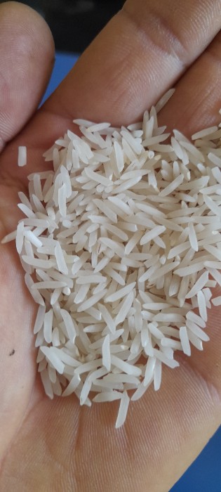  غلات | برنج فجر و ندا