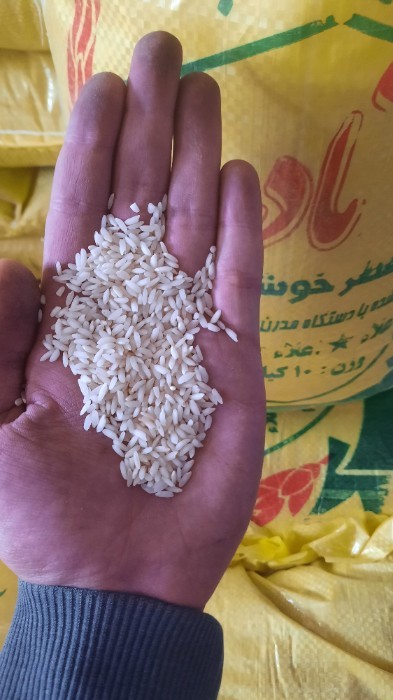 غلات | برنج برنج عنبربو درجه 2