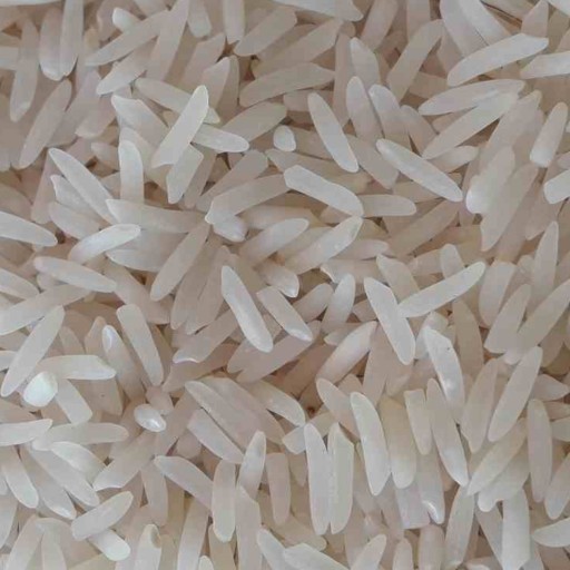  غلات | برنج برنج فجر سوزنی درجه یک