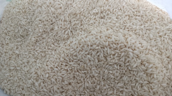  غلات | برنج برنج عنبربو درجه 1شوشتر