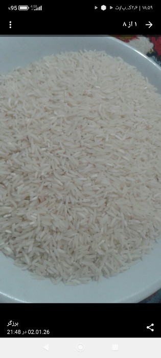  غلات | برنج برنج دم سیاه فجر آزاد شهر