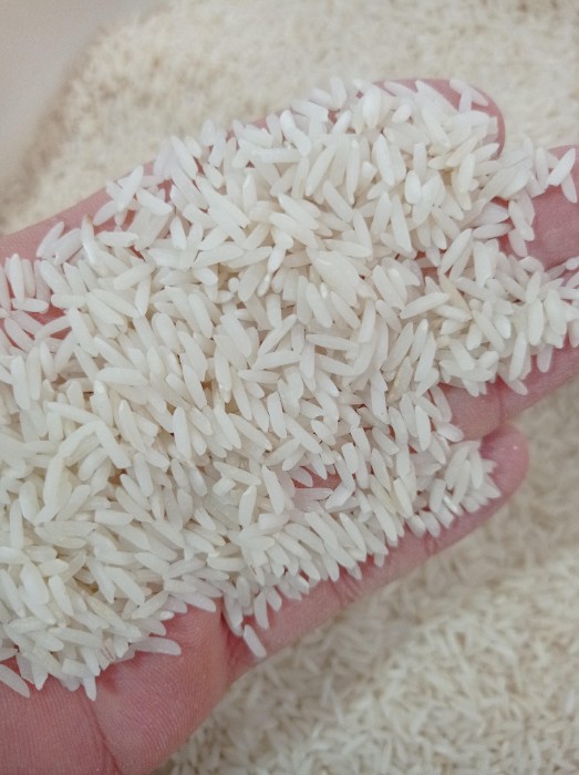  غلات | برنج شمیم ، هاشمی ،فجر