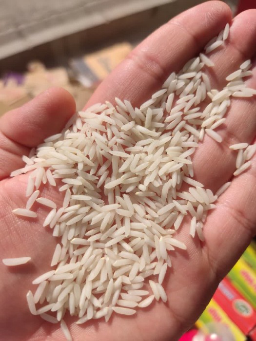  غلات | برنج برنج عنبربو الغدیر