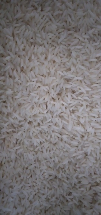  غلات | برنج زرد دم آستانه