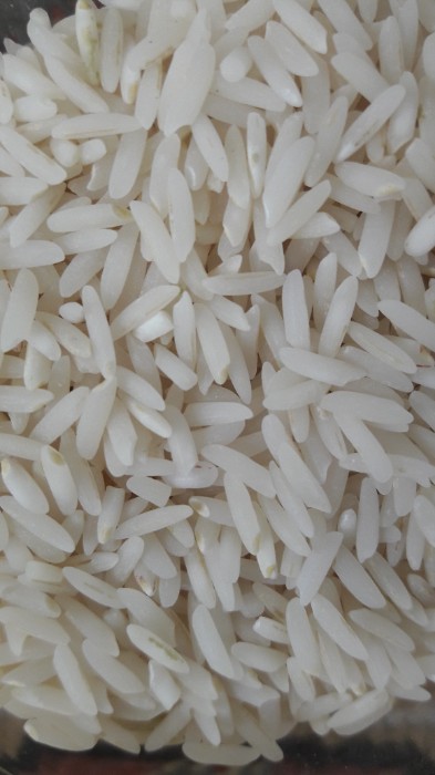  غلات | برنج طارم هاشمی و شیرودی
