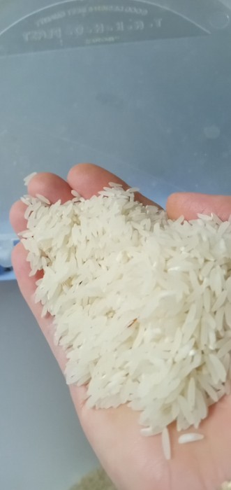  غلات | برنج فجر سوزنی درجه1 سورت شده