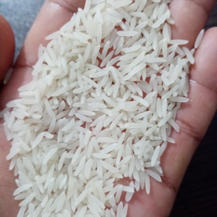  غلات | برنج فجر. ندا