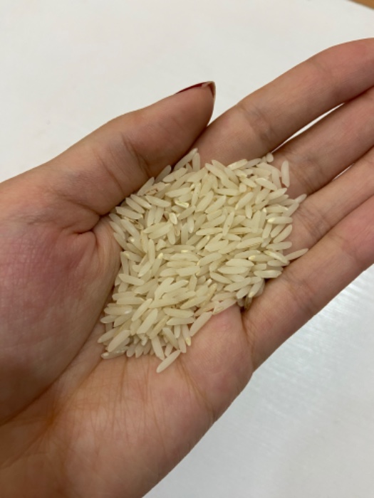  غلات | برنج دوبار کشت