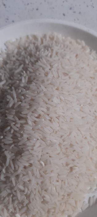  غلات | برنج تارم هاشمی محلی فریدونکنار