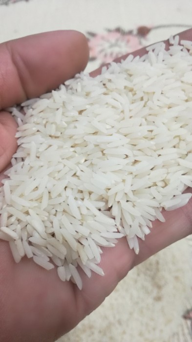  غلات | برنج صدری دم سیاه