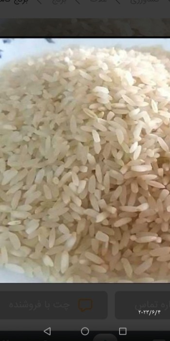  غلات | برنج برنج کامفیروز اصل
