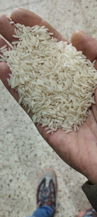  غلات | برنج برنج طارم هاشمی اعلا