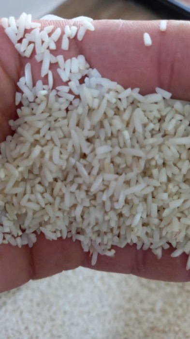  غلات | برنج طارم هاشمی گیلان رشت