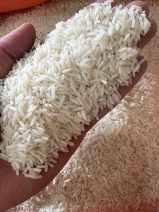  غلات | برنج هاشمی و‌شیرودی